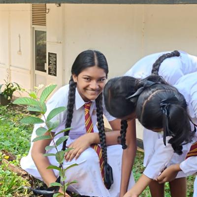 Whatsapp Image 2024 08 09 At 6.42.15 Pm