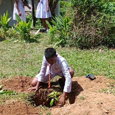 Whatsapp Image 2024 08 09 At 6.42.21 Pm