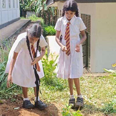 Whatsapp Image 2024 08 09 At 6.42.22 Pm