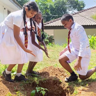 Whatsapp Image 2024 08 09 At 6.42.26 Pm